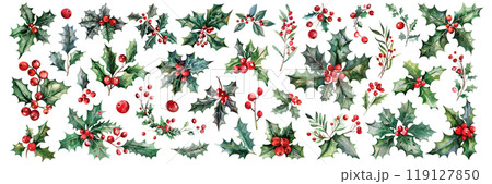 Set of isolated cute Holly branches in vivid hand painted watercolor painting on a transparent background for ornamental Christmas and New Year decoration elements. AI generated. 119127850
