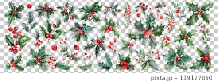Set of isolated cute Holly branches in vivid hand painted watercolor painting on a transparent background for ornamental Christmas and New Year decoration elements. AI generated. 119127850