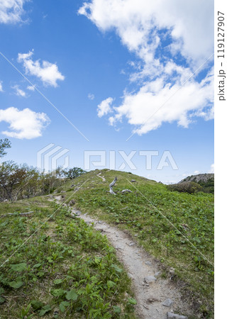 日光白根山へ続く登山道 栃木県日光市日光国立公園 日光白根山へ続く登山道 栃木県日光市日光国立公園 119127907