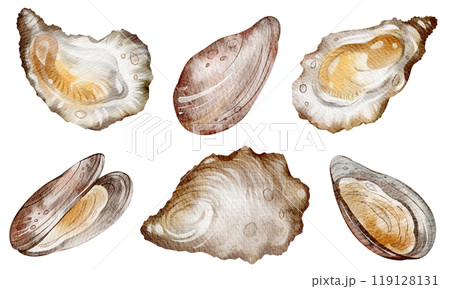 Oysters and mussels Watercolor clipart seafood on isolated background. Hand drawn illustrations sea creature for design, cards, print, menu restaurant. Mediterranean diet. Variety elements exotic Oysters and mussels Watercolor clipart seafood on isolated background. Hand drawn illustrations sea creature for design, cards, print, menu restaurant. Mediterranean diet. Variety elements exotic 119128131
