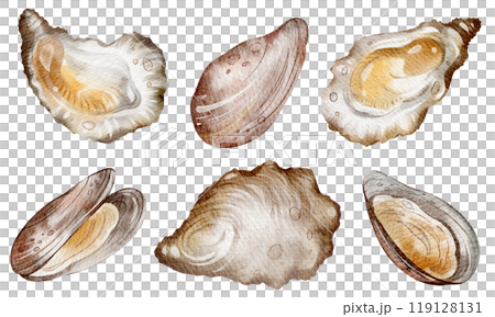 Oysters and mussels Watercolor clipart seafood on isolated background. Hand drawn illustrations sea creature for design, cards, print, menu restaurant. Mediterranean diet. Variety elements exotic Oysters and mussels Watercolor clipart seafood on isolated background. Hand drawn illustrations sea creature for design, cards, print, menu restaurant. Mediterranean diet. Variety elements exotic 119128131