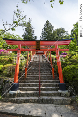 浮羽稲荷神社境内に並ぶ鳥居　福岡県うきは市城ヶ鼻公園 119128255
