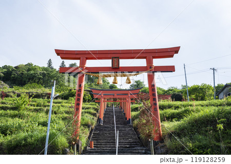 浮羽稲荷神社境内に並ぶ鳥居　福岡県うきは市城ヶ鼻公園 119128259