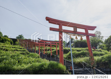 浮羽稲荷神社境内に並ぶ鳥居　福岡県うきは市城ヶ鼻公園 119128261