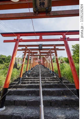 浮羽稲荷神社境内に並ぶ鳥居 福岡県うきは市城ヶ鼻公園 浮羽稲荷神社境内に並ぶ鳥居 福岡県うきは市城ヶ鼻公園 119128264