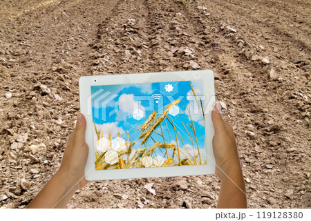 Exploring the Beauty of Nature Displayed in a Wheat Field with a Digital Interactive Overlay Exploring the Beauty of Nature Displayed in a Wheat Field with a Digital Interactive Overlay 119128380