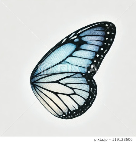 蝶の片方の羽の水彩画のイラスト素材 [119128606] - PIXTA