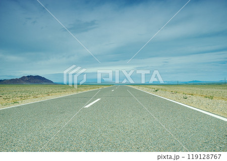 Road in Gobi Desert 119128767