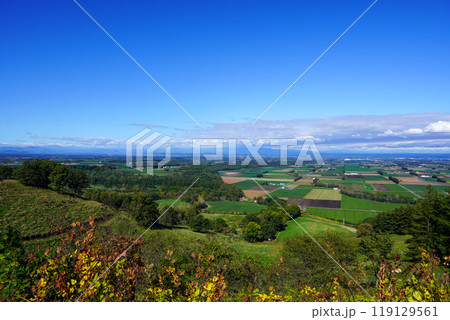 新嵐山スカイパーク展望台の秋（2024） 119129561