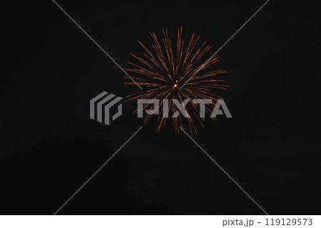 天竜川河川敷から見た浜松市の中野町煙火大会(静岡県) 119129573