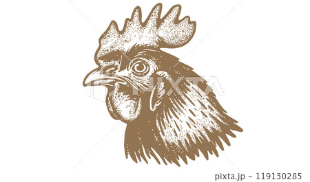 Chicken, hen head. Vintage retro print, chicken sketch ink pencil style drawing, engrave old school. Sketch artwork silhouette head chicken, white background. Side view profile. Vector Illustration 119130285