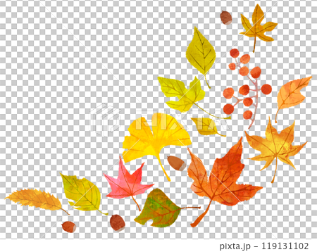 紅葉した落ち葉のイラスト フレーム 飾り 紅葉した落ち葉のイラスト フレーム 飾り 119131102