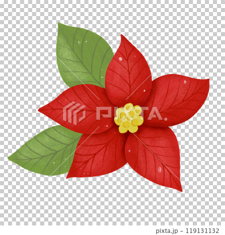 christmas day 119131132