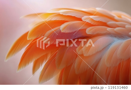Close-up of delicate orange and white feathers glistening with raindrops in a natural setting 119131460