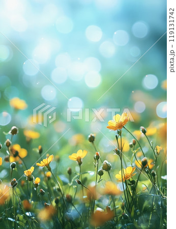 Vibrant yellow wildflowers blooming in a lush green meadow under bright sunlight Vibrant yellow wildflowers blooming in a lush green meadow under bright sunlight 119131742
