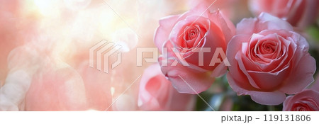 Delicate pink roses in soft morning light with a serene blurred background 119131806