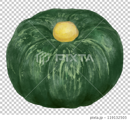 水彩で描いたかぼちゃ 119132503