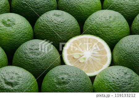 カボス カボス 119133212