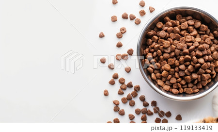 A stainless steel bowl filled with nutritious dry cat food sits on a clean white surface. Some kibble is scattered around, emphasizing the quality and appeal of the meal 119133419