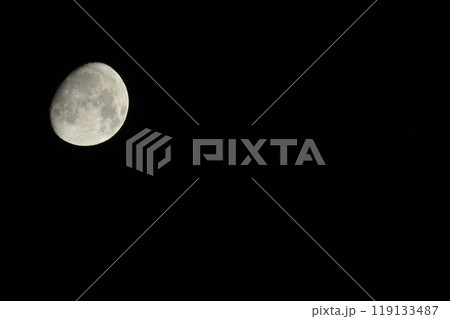 月齢11.7葉月八月宵の月 119133487