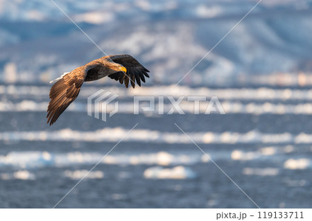 知床　冬 119133711