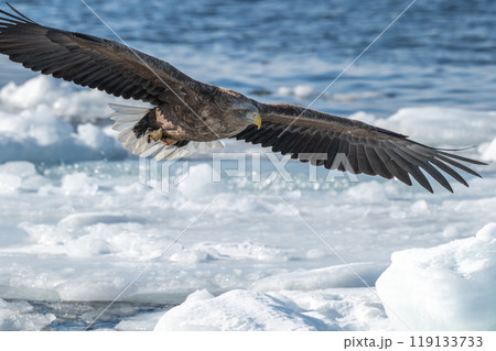 知床 冬 知床 冬 119133733