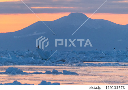 知床　冬 119133778
