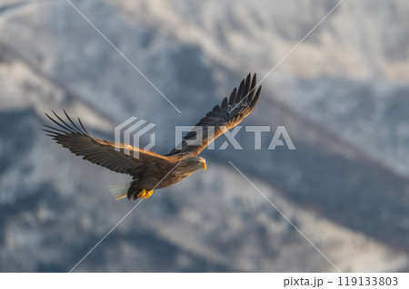 知床 冬 知床 冬 119133803