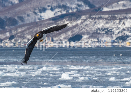 知床　冬 119133863