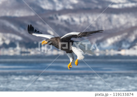 知床　冬 119133874