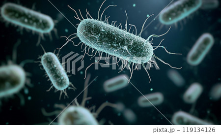 細菌のクローズアップイメージ 119134126