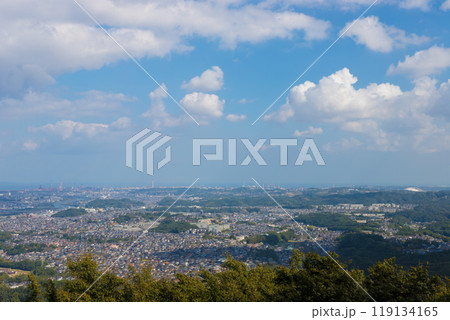 大分市街地の昼景色（大分県大分市） 119134165