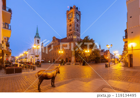 Old Town Hall Square at Night, Torun, Poland 119134495