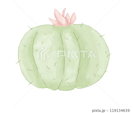 Cactus Green Round with Pink Flower on Top Watercolor Digital Style Illustration Colored Children's Light and Bright for Printing and Web Use	 119134639