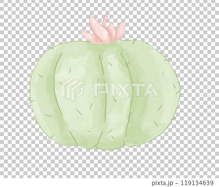 Cactus Green Round with Pink Flower on Top Watercolor Digital Style Illustration Colored Children's Light and Bright for Printing and Web Use	 119134639