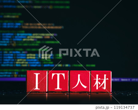 IT人材のイメージ IT人材のイメージ 119134737
