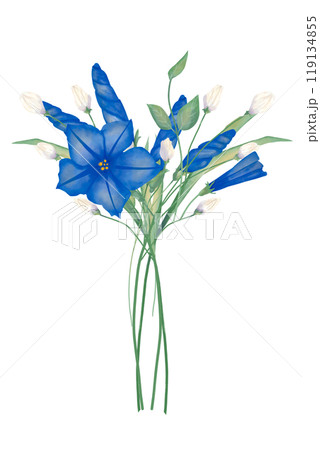 Bouquet of blue and white flowers composition with peonies, grass, stems, wedding watercolor illustration for printing and web design	 119134855