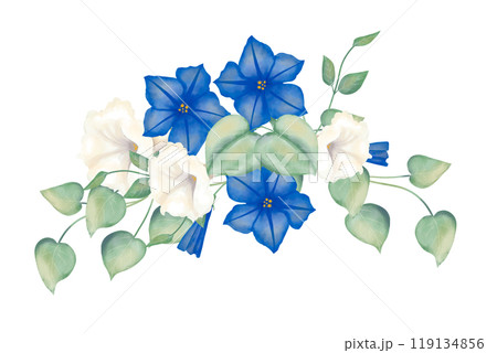 Floral arrangement with blue and white petunia flowers, with green foliage, festive watercolor illustration for printing and web design	 119134856