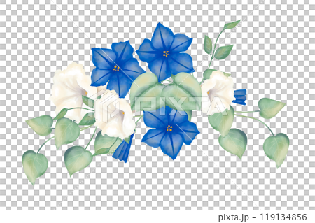 flower, leaf, watercolor 119134856
