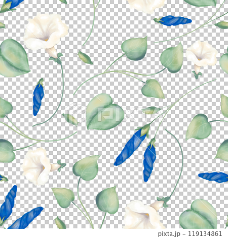 flower, stalk, petunia, white, twig, stem, bud, botanical, leaf, nature, bouquet, indigo, artistic, wedding, floral, invitation, birthday, elegant, greeting, card, watercolor, illustration, drawing, i flower, stalk, petunia, white, twig, stem, bud, botanical, leaf, nature, bouquet, indigo, artistic, wedding, floral, invitation, birthday, elegant, greeting, card, watercolor, illustration, drawing, i 119134861