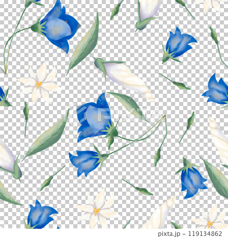 Seamless pattern with blue bell flowers, white petunia buds and green leaves, wedding watercolor illustration for printing and web design Seamless pattern with blue bell flowers, white petunia buds and green leaves, wedding watercolor illustration for printing and web design 119134862
