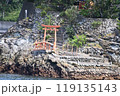 海の中の鳥居 119135143
