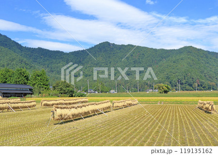 安曇野の秋　はさ掛けのある風景 119135162
