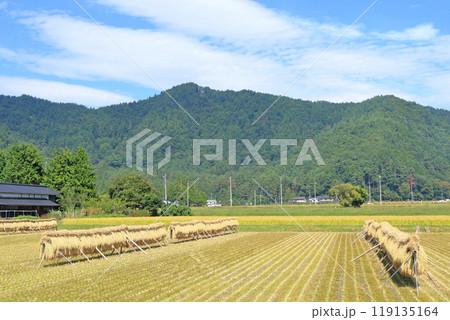 安曇野の秋 はさ掛けのある風景 安曇野の秋 はさ掛けのある風景 119135164