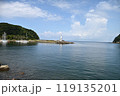 西伊豆の海 119135201