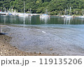 西伊豆の海 119135206