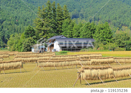 安曇野の秋　はさ掛けのある風景 119135236