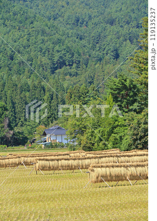 安曇野の秋 はさ掛けのある風景 安曇野の秋 はさ掛けのある風景 119135237