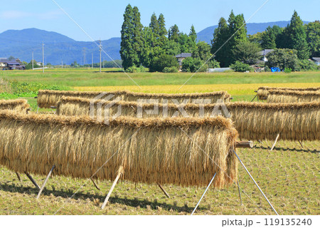 安曇野の秋　はさ掛けのある風景 119135240