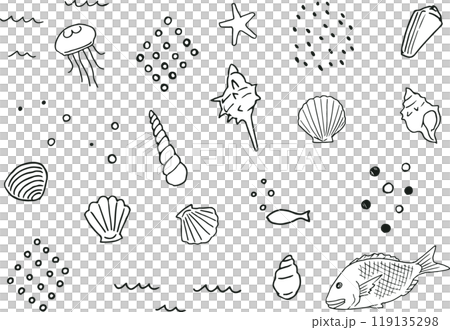 貝殻と海の手描きペン画イラストセット（白黒） 119135298